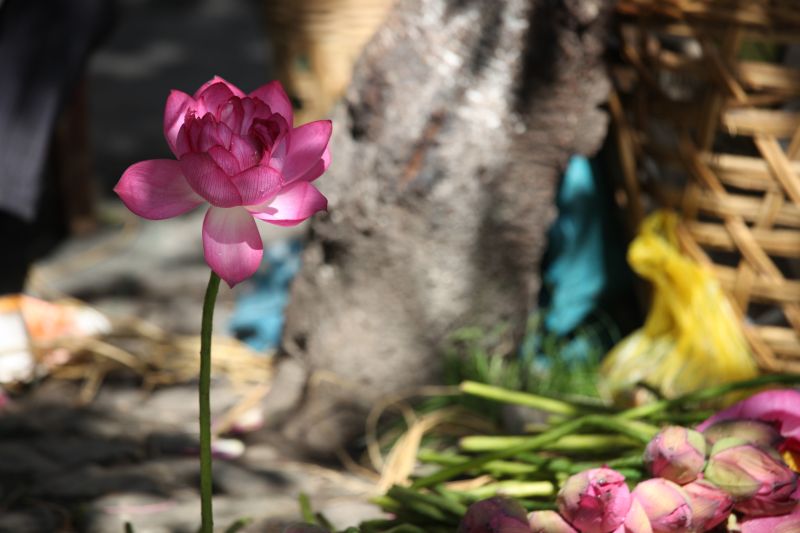 Mój blog * Felietony ...czyli to co jest w życiu ważne.