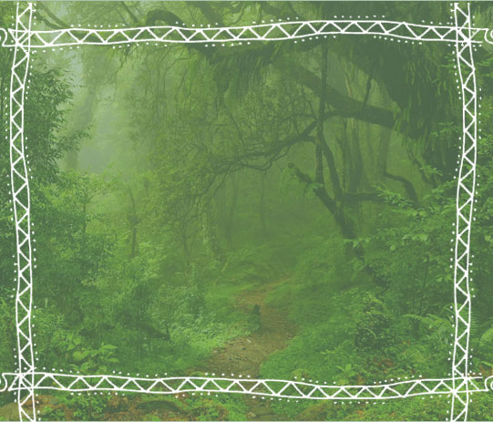 WAKACJE DLA ZUCHWAŁYCH 2025 MEKSYK, PERU I DŻUNGLA AMAZOŃSKA