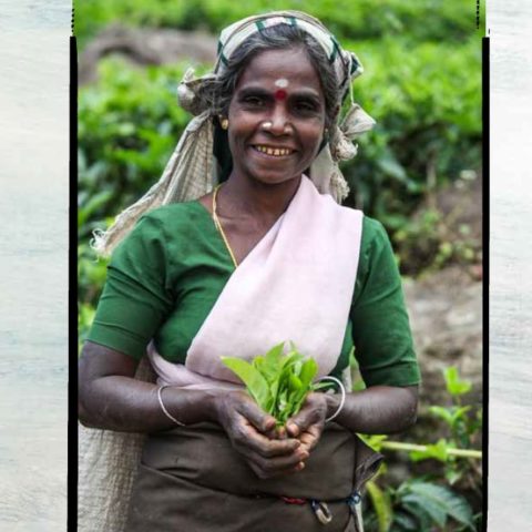 fot. Beata Pawlikowska