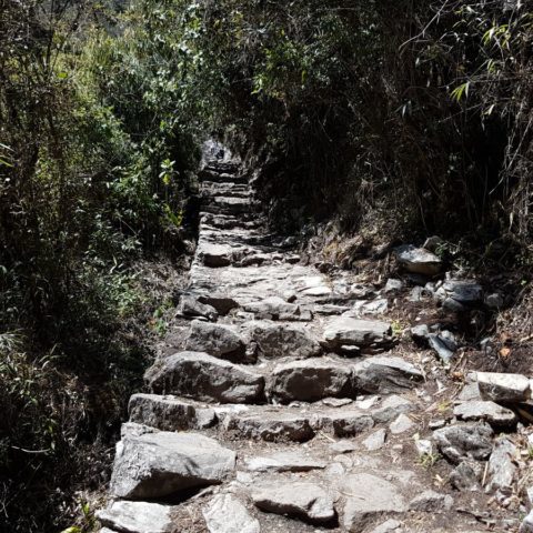 W Machu Picchu,  fot. Beata Pawlikowska