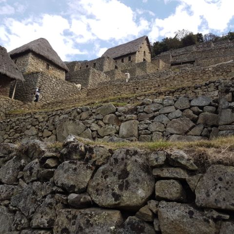 W Machu Picchu,  fot. Beata Pawlikowska