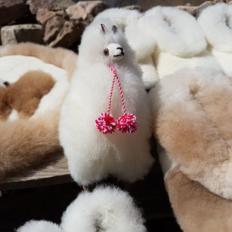Pluszowe lamy, fot. Beata Pawlikowska