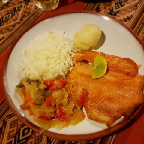 Różowy pstrąg z jeziorza Titicaca, fot. Beata Pawlikowska