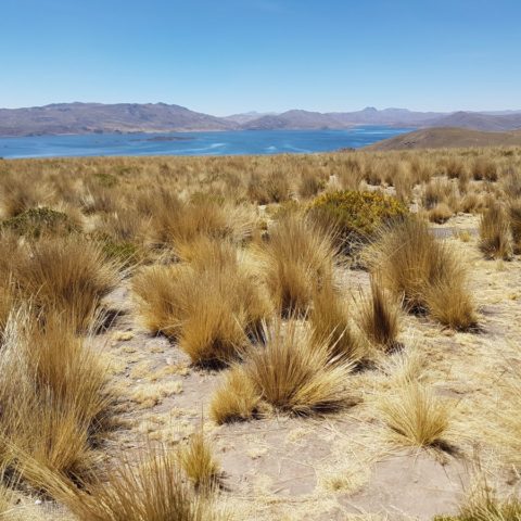 Bezdroża Peru, fot. Beata Pawlikowska
