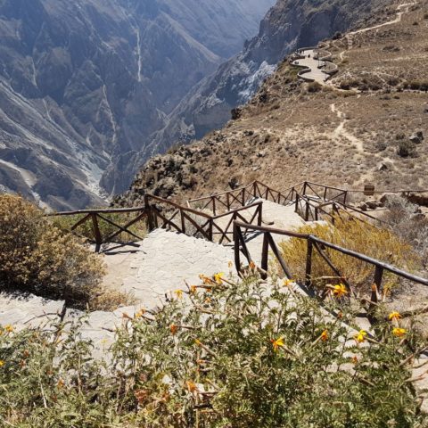 Kanion Colca, fot. Beata Pawlikowska