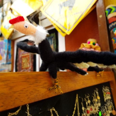 Nauka latania, fot. Beata Pawlikowska