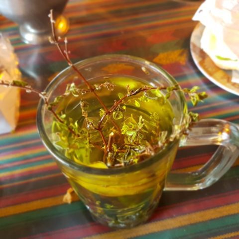 Inkaska herbata z ziół, fot. Beata Pawlikowska