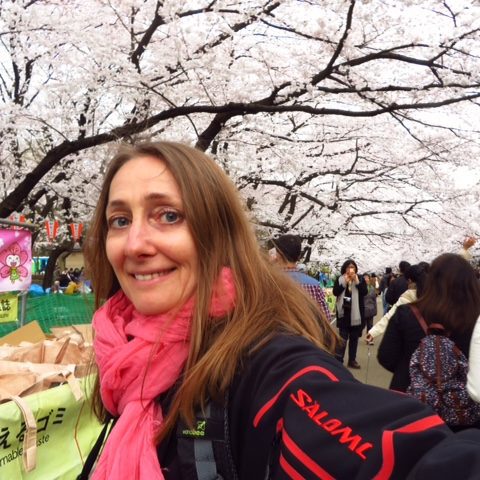 W parku kwitnących wiśni, fot. Beata Pawlikowska