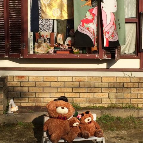 W Kyoto, W parku kwitnących wiśni, fot. Beata Pawlikowska