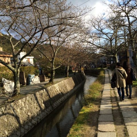 Scieżka Filozofów w Kyoto, W parku kwitnących wiśni, fot. Beata Pawlikowska