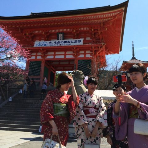 Kyoto - miasto tysiąca świątyń, W parku kwitnących wiśni, fot. Beata Pawlikowska