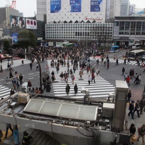 Najbardziej ruchliwe skrzyżowanie w Tokio, fot. Beata Pawlikowska