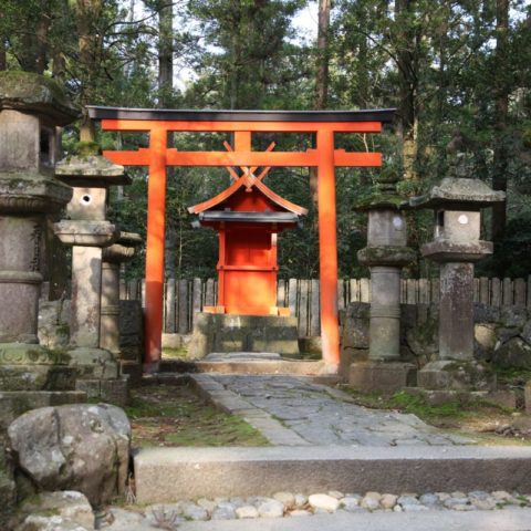 Japońska brama torii, fot. Beata Pawlikowska