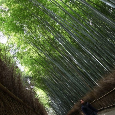 W Bambusowym Lesie, fot. Beata Pawlikowska