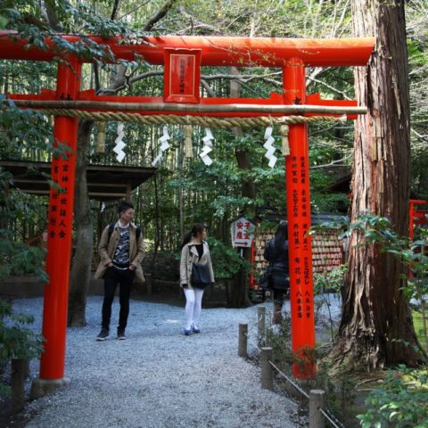Japońska brama torii, fot. Beata Pawlikowska