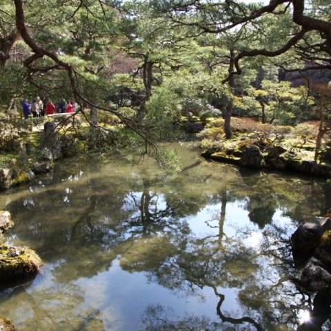 W japońskim ogrodzie, fot. Beata Pawlikowska