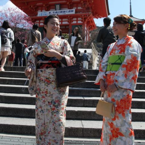 Kyoto - miasto tysiąca świątyń, W parku kwitnących wiśni, fot. Beata Pawlikowska