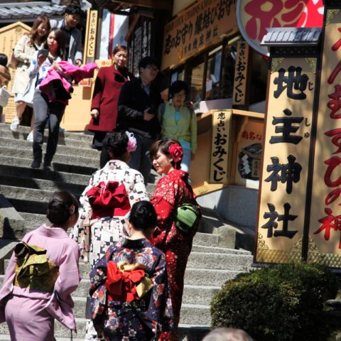 Kyoto - miasto tysiąca świątyń, W parku kwitnących wiśni, fot. Beata Pawlikowska