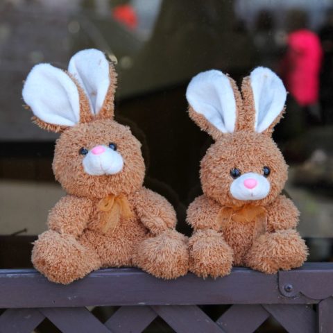 Zajączki, ot. Beata Pawlikowska