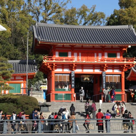 Kyoto - miasto tysiąca świątyń, W parku kwitnących wiśni, fot. Beata Pawlikowska
