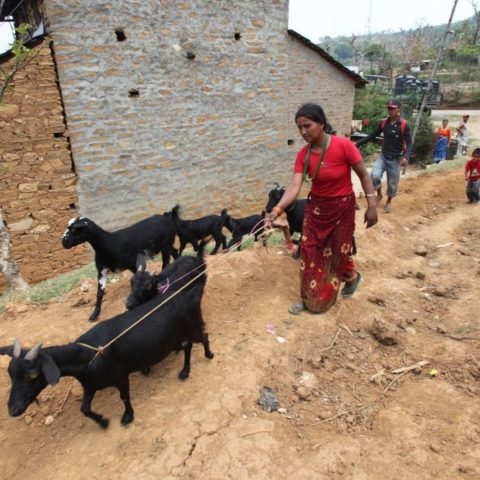 W tradycyjnej wiosce w Himalajach, fot. Beata Pawlikowska