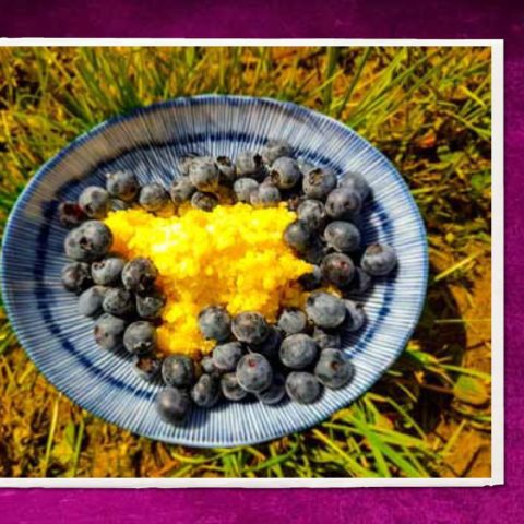 Kasza z borówkami, fot. Beata Pawlikowska