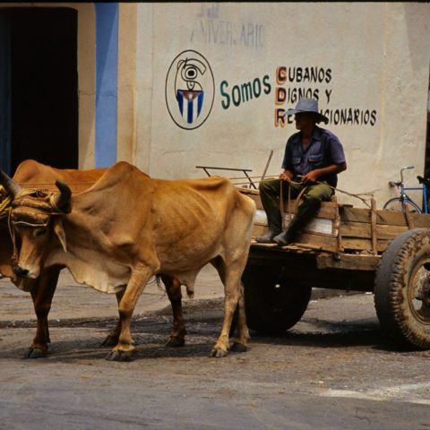 Kuba, fot. Beata Pawlikowska
