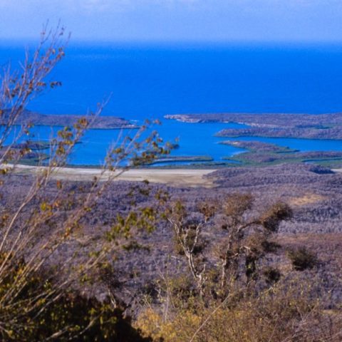 Kuba, fot. Beata Pawlikowska