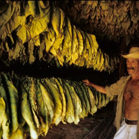 Kuba, fot. Beata Pawlikowska