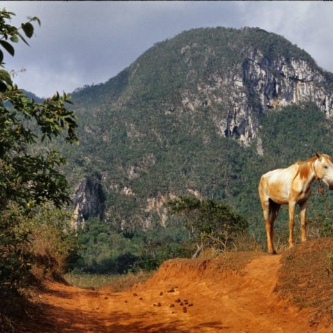 Kuba, fot. Beata Pawlikowska