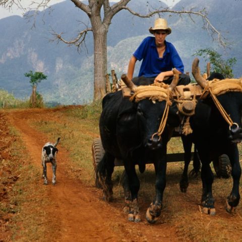 Kuba, fot. Beata Pawlikowska