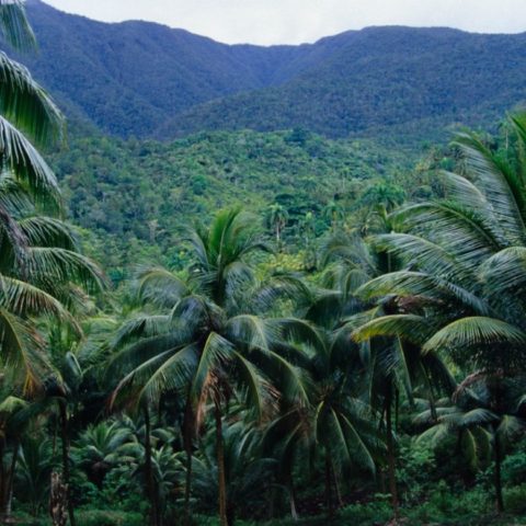 Kuba, fot. Beata Pawlikowska