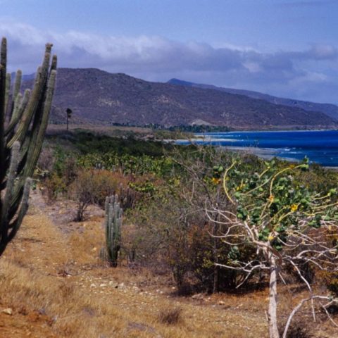 Kuba, fot. Beata Pawlikowska