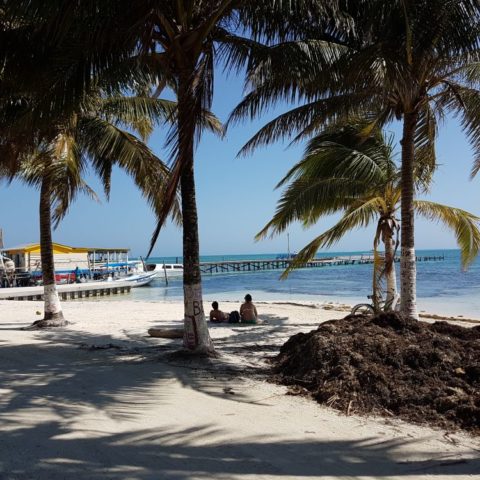 Biały piasek, palmy kokosowe, fot. Beata Pawlikowska