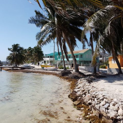 Biały piasek, palmy kokosowe, fot. Beata Pawlikowska