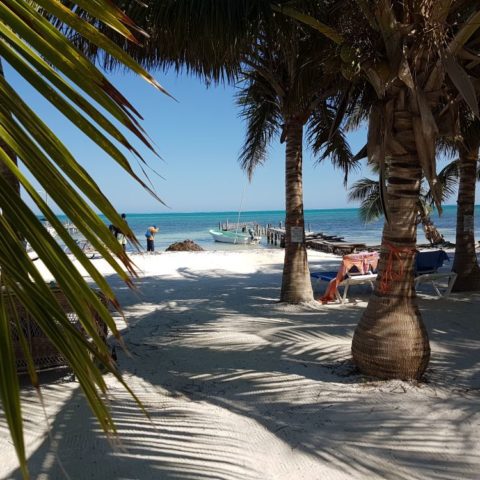 Biały piasek, palmy kokosowe, fot. Beata Pawlikowska