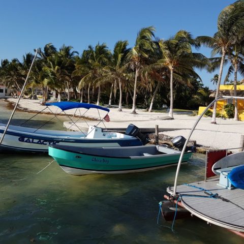 Caye Caulker, fot. Beata Pawlikowska