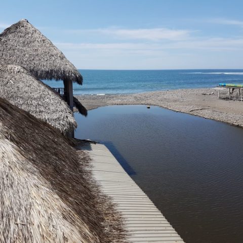 Widok z mojego okna, fot. Beata Pawlikowska