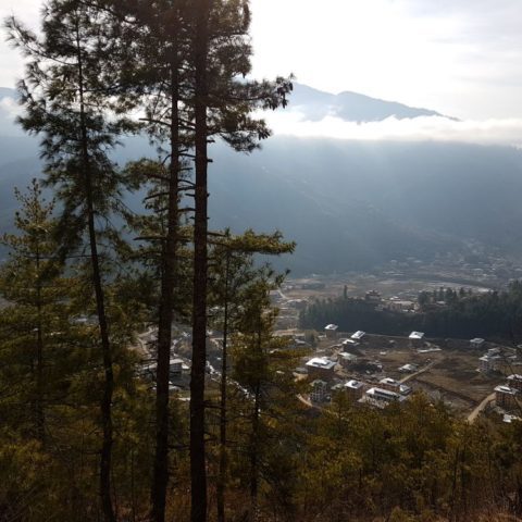 fot. Beata Pawlikowska