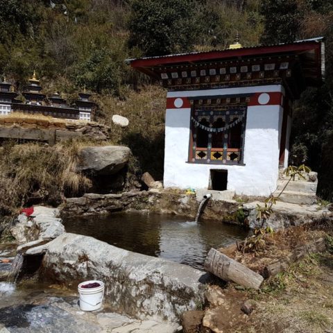 fot. Beata Pawlikowska