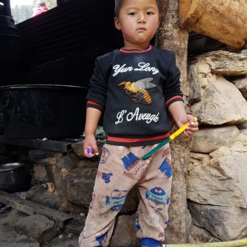 fot. Beata Pawlikowska