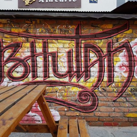 fot. Beata Pawlikowska