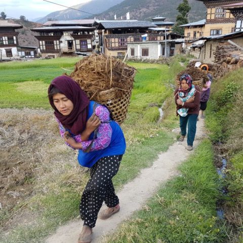 fot. Beata Pawlikowska