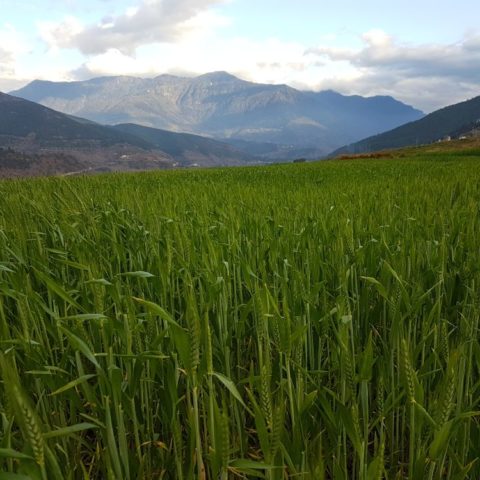 fot. Beata Pawlikowska