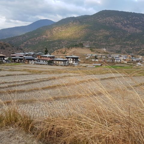 fot. Beata Pawlikowska