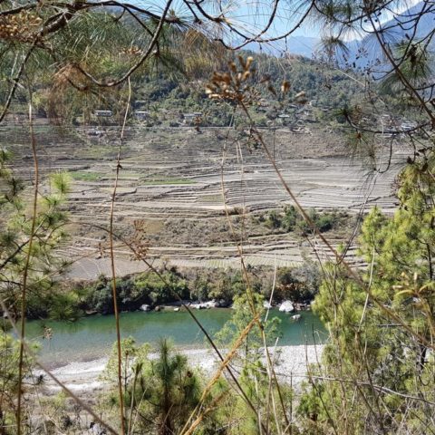 Pola tarasowe, fot. Beata Pawlikowska