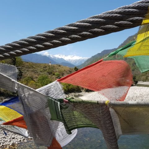 fot. Beata Pawlikowska