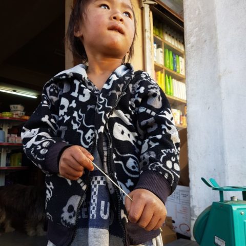 fot. Beata Pawlikowska