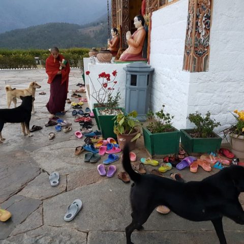 W żeńskim klasztorze, fot. Beata Pawlikowska