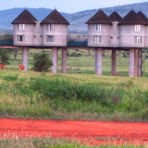 Hotel na palach na sawannie w Kenii, fot. Beata Pawlikowska